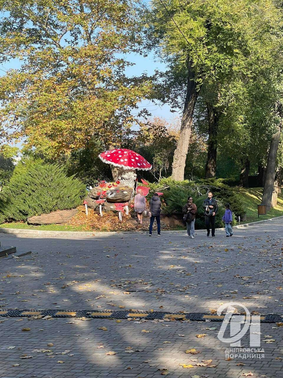 Казкова фотолокація: у парку Шевченка у Дніпрі з’явилися велетенські мухомори Казкова фотолокація: у парку Шевченка у Дніпрі з’явилися велетенські мухомори